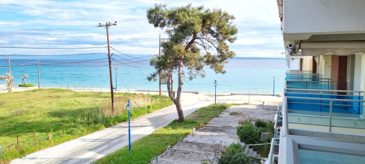 Bungalow White Apartments 波利克罗诺 外观 照片